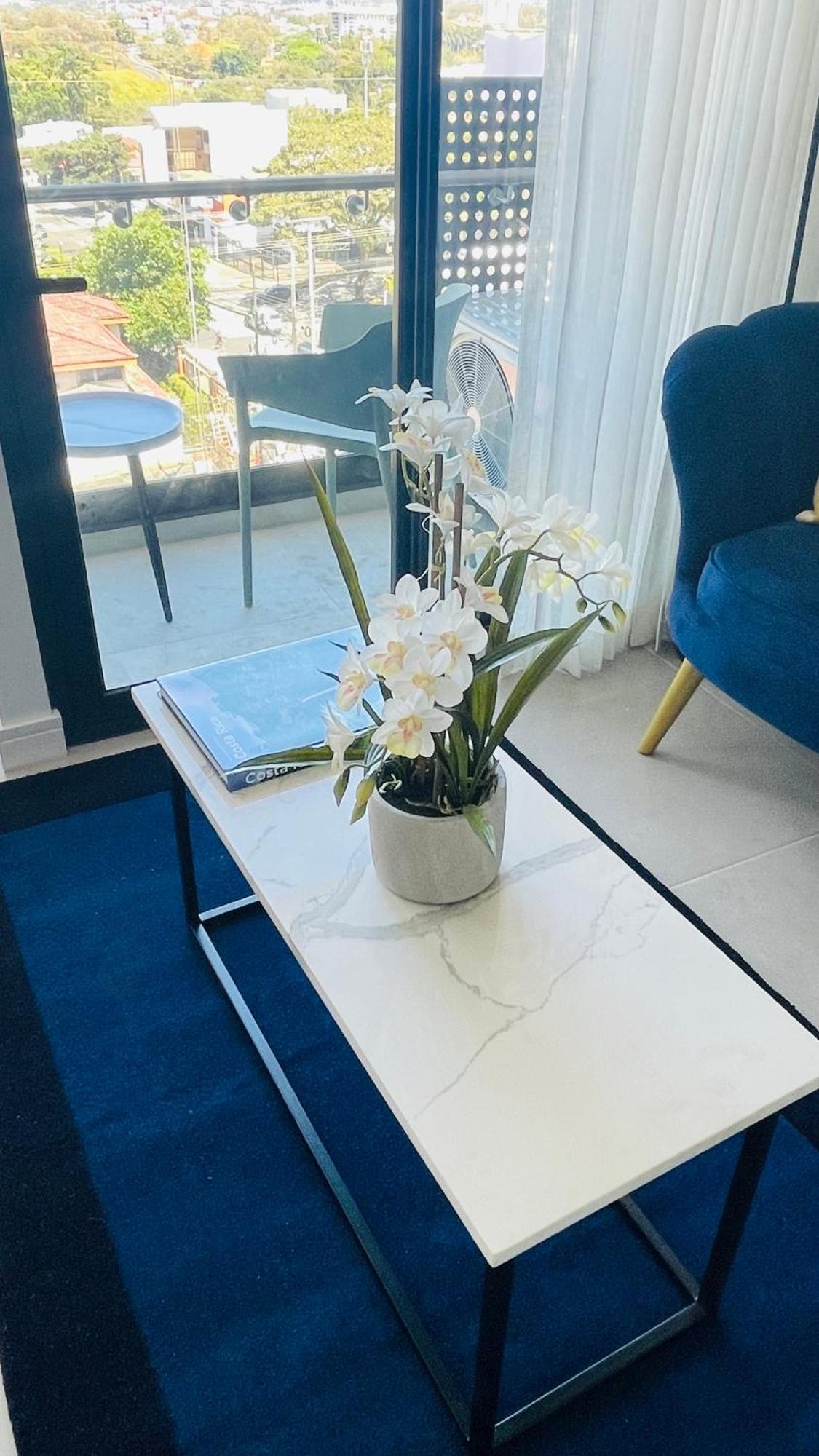 Skygarden Nunciatura Luxury Apartment #705 San José Eksteriør billede